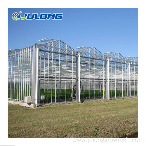 Multi-span glass green house for vegetable growing
